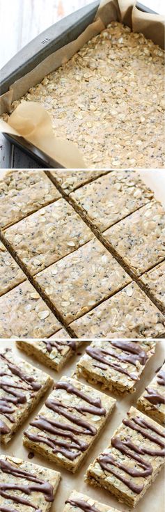 Peanut Butter Protein Oat Bars