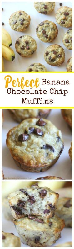 Perfect Banana Chocolate Chip Muffins! Fluffy & Moist