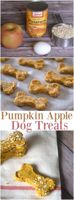 Pumpkin Apple Dog Treats