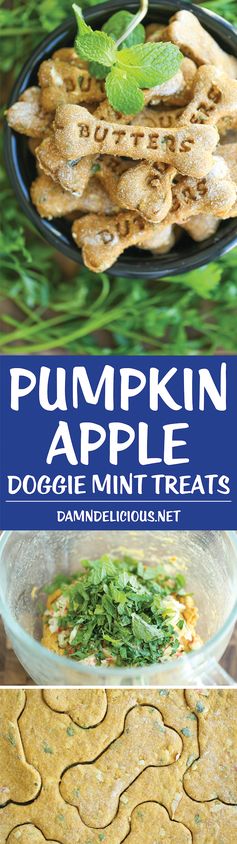 Pumpkin Apple Doggie Mint Treats