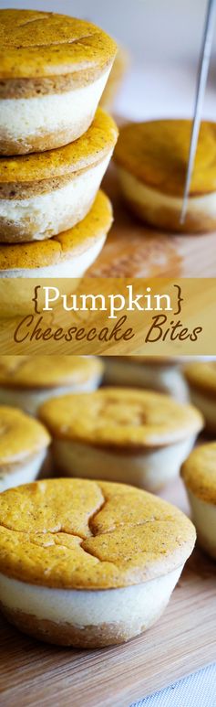 Pumpkin Cheesecake Cupcakes