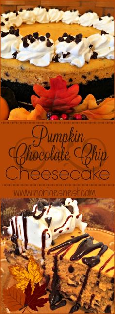 Pumpkin Chocolate Chip Cheesecake