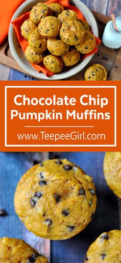 Pumpkin Chocolate Chip Muffins