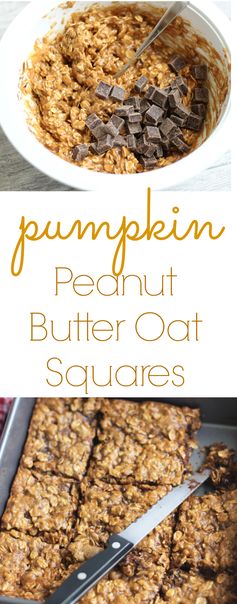 Pumpkin Peanut Butter Oat Squares