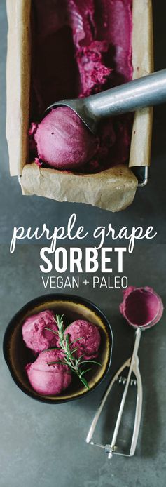 Purple Grape & Rosemary Sorbet