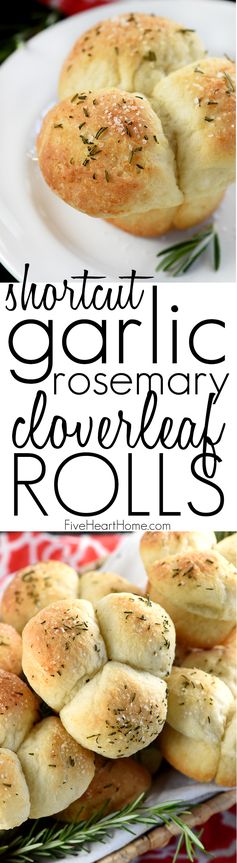 (Quick & Easy Garlic Rosemary Cloverleaf Dinner Rolls