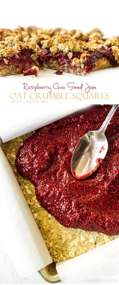 Raspberry Chia Seed Jam Oat Crumble Squares