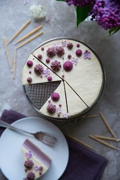 Raw Blueberry Ombre Cake