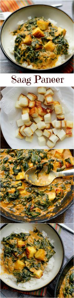 Saag Paneer