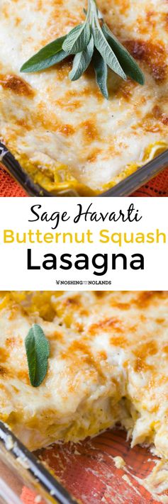 Sage Havarti Butternut Squash Lasagna