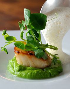 Scallops, pea purée, shoots and cumin foam