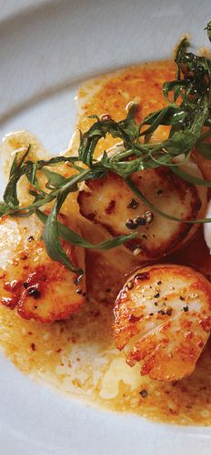 Scallops with Herbed Brown Butter