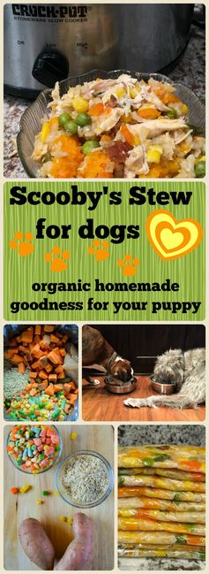 Scooby’s Organic Stew for Dogs