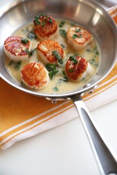 Seared Scallops in White Wine Butter Sauce