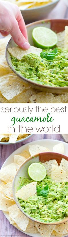 Seriously The Best Guacamole In The World