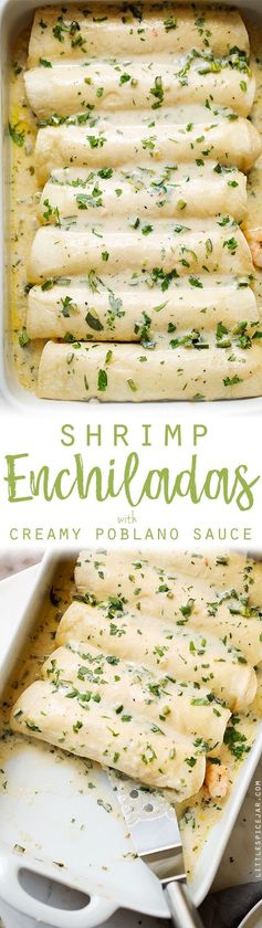 Shrimp Enchiladas with Creamy Poblano Sauce