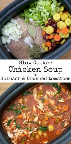 Slow Cooker Chicken Spinach Soup