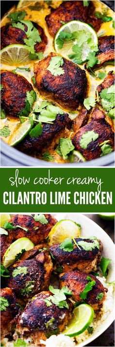 Slow Cooker Creamy Cilantro Lime Chicken