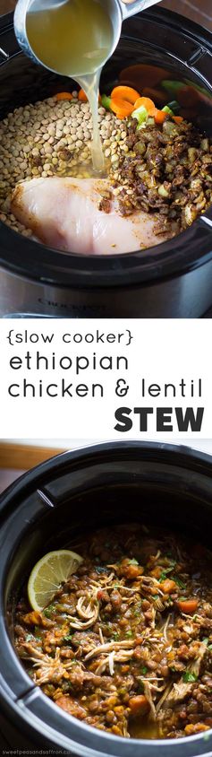 Slow Cooker Ethiopian Chicken & Lentil Stew