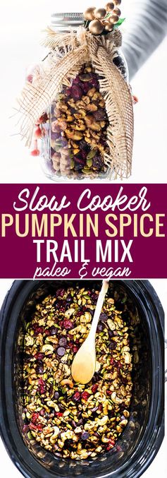 Slow Cooker Paleo Pumpkin Spice Trail Mix (Vegan Friendly