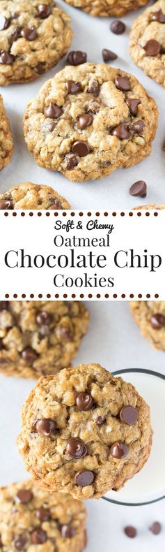 Soft and Chewy Oatmeal Chocolate Chip Cookies