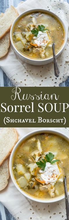 Sorrel Soup (Shchavel Borscht