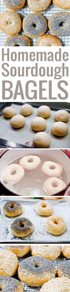 Sourdough Bagels