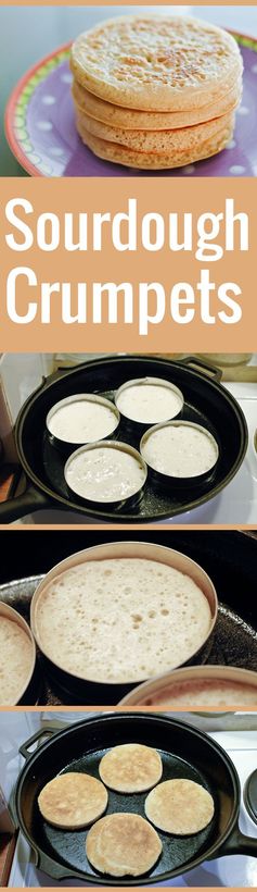 Sourdough Crumpets with Natural Starter