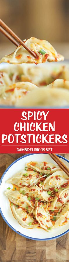 Spicy Chicken Potstickers