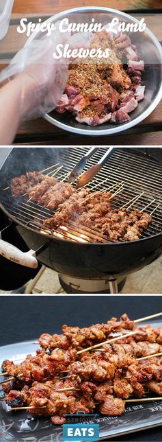 Spicy Cumin Lamb Skewers (Yang Rou Chuan