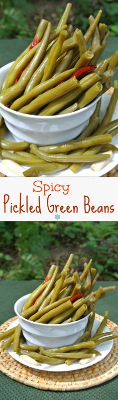 Spicy Pickled Green Beans