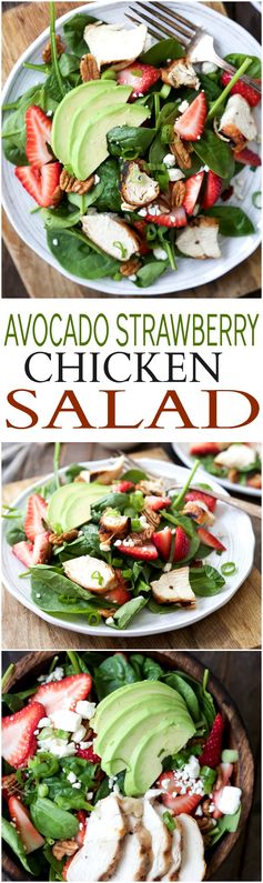 Strawberry Avocado Chicken Salad with Balsamic Vinaigrette