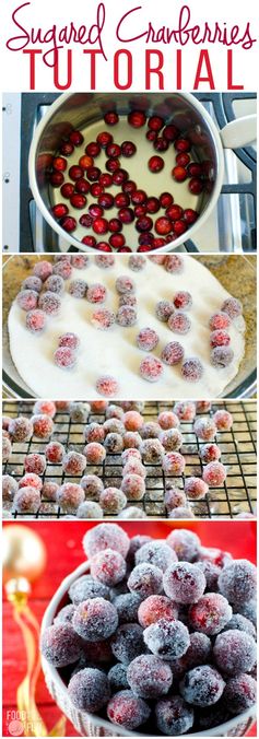 Sugared Cranberries Tutorial