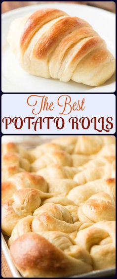 The BEST Potato Rolls