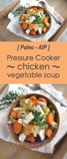 The Best Pressure Cooker Chicken Vegetable Soup! (Paleo, AIP, Instant Pot