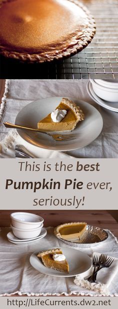 The Best Pumpkin Pie