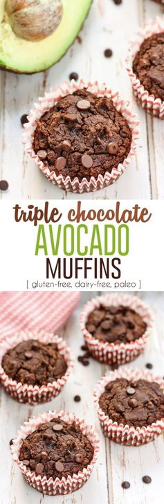 Triple Chocolate Avocado Muffins [ grain-free, dairy-free ]