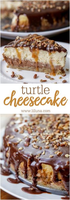 Turtle Cheesecake