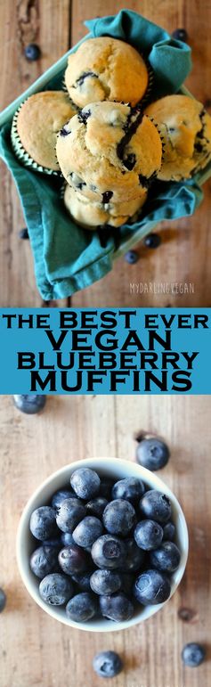 Vegan Blueberry Muffins