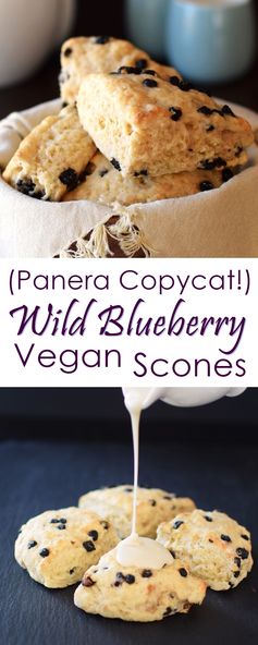 Vegan Wild Blueberry Scones (Panera Copycat
