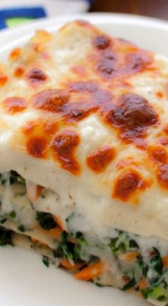 Vegetable Alfredo Lasagna