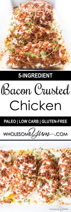 5-Ingredient Bacon Crusted Chicken (Paleo, Low Carb