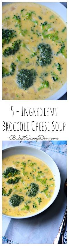 5 - Ingredient Broccoli Cheese Soup