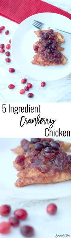 5 Ingredient Crock-Pot Cranberry Chicken