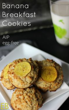 AIP Banana Breakfast Cookies (great for easy breakfasts and to pack in lunches!