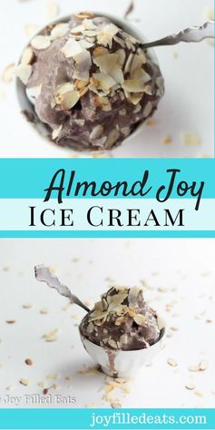 Almond Joy Ice Cream