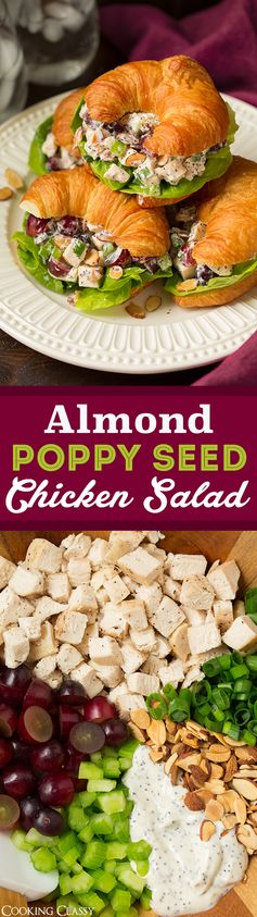 Almond Poppy Seed Chicken Salad Sandwiches