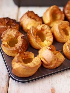 Amazing Yorkies