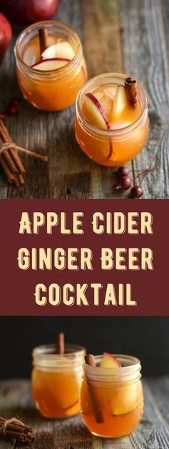 Apple Cider Ginger Beer Cocktail