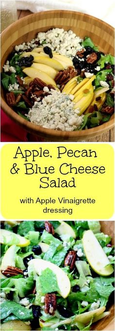 Apple, Pecan and Blue Cheese Salad with Apple Vinaigrette